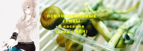 прущие крисы Верея