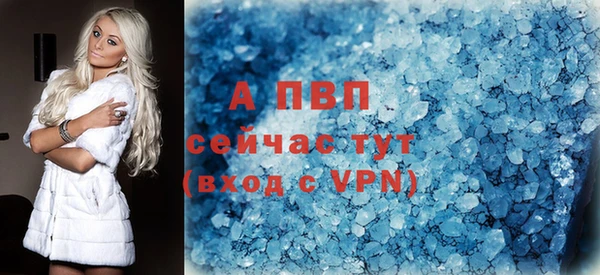 прущие крисы Верея