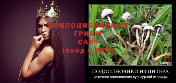 прущие крисы Верея