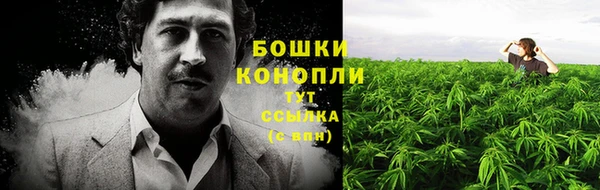 прущие крисы Верея